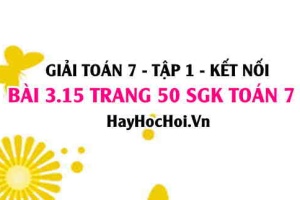 Giải bài 3.15 trang 50 Toán 7 Tập 1 SGK Kết nối tri thức